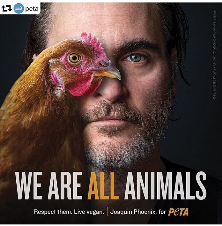 We are all animals